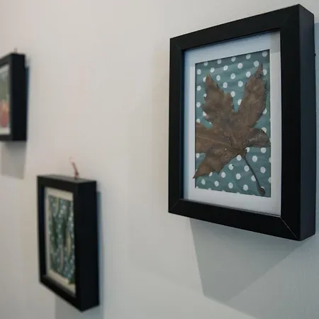 Stagiates At Pelion Portariá